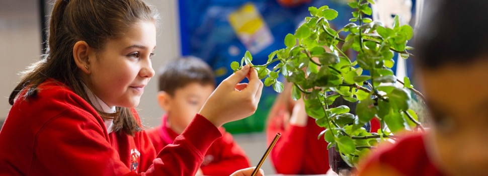 School Business Manager